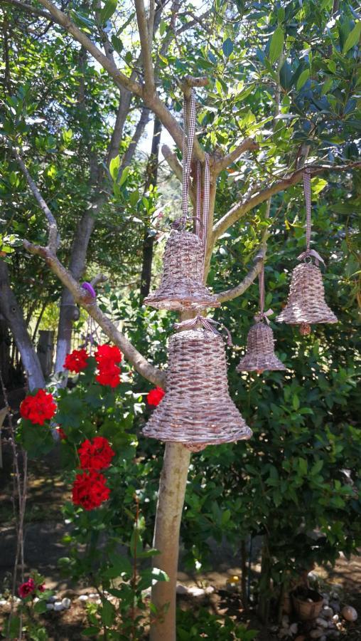 Garden Bungalow Valentina Σταυρός Εξωτερικό φωτογραφία