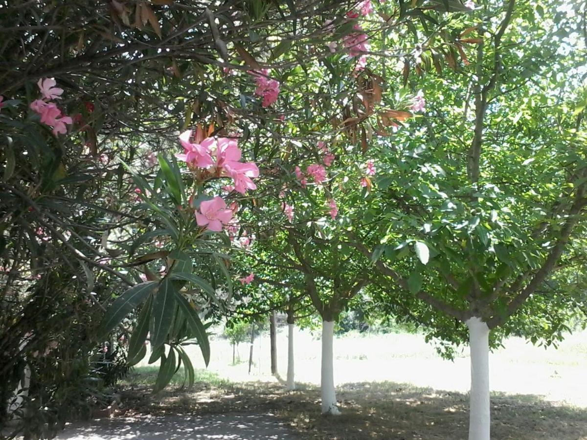 Garden Bungalow Valentina Σταυρός Εξωτερικό φωτογραφία