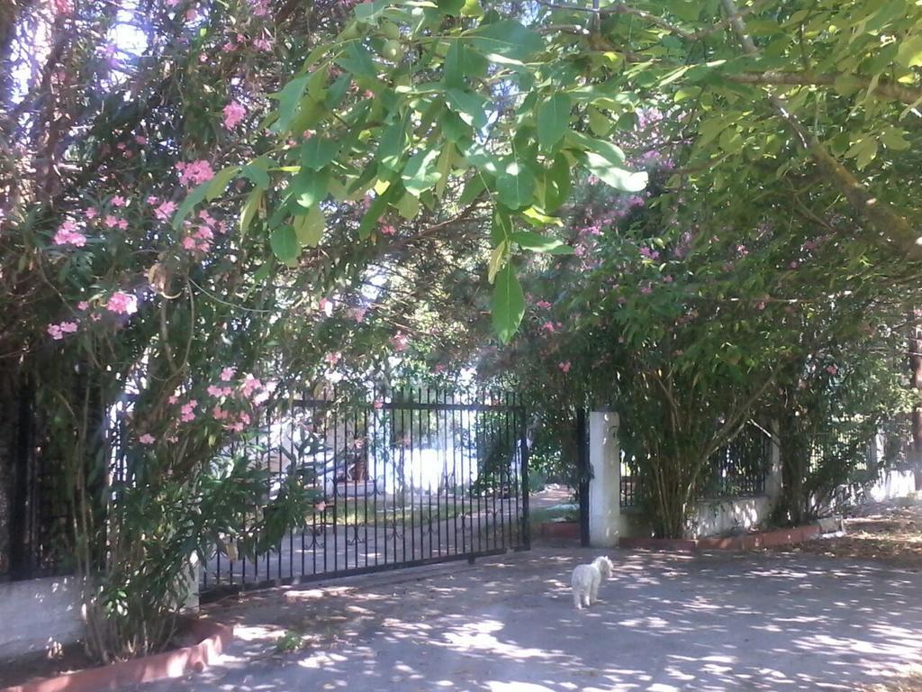 Garden Bungalow Valentina Σταυρός Εξωτερικό φωτογραφία