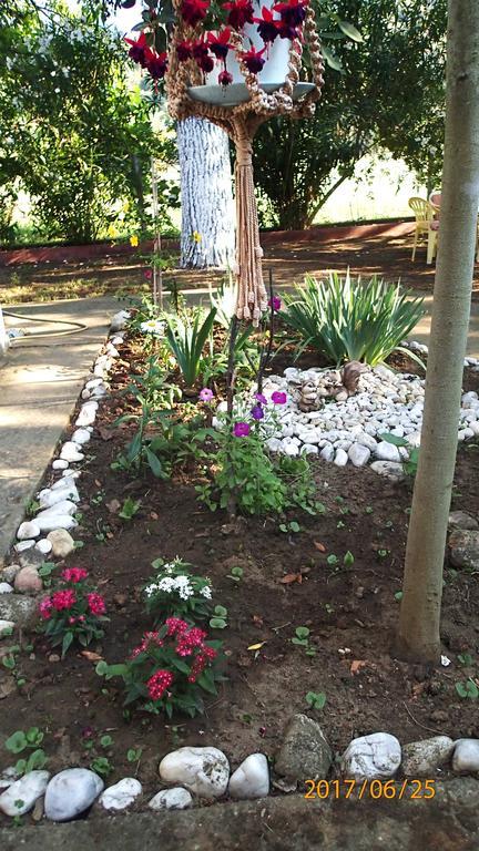 Garden Bungalow Valentina Σταυρός Εξωτερικό φωτογραφία