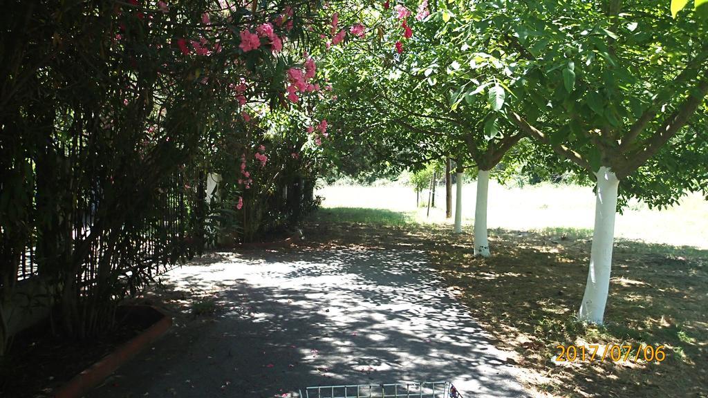 Garden Bungalow Valentina Σταυρός Εξωτερικό φωτογραφία